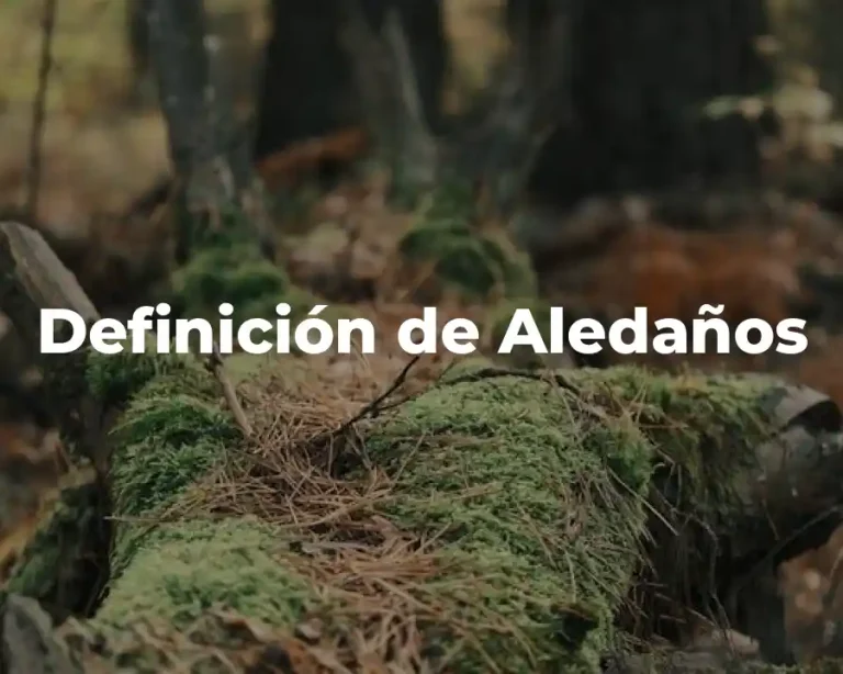 Definición de Aledaños
