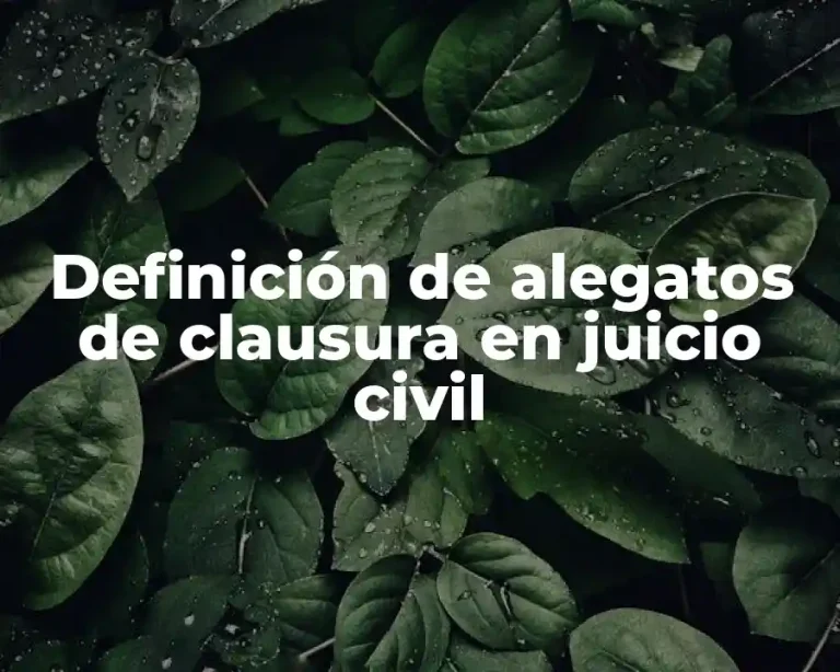 Definición de alegatos de clausura en juicio civil