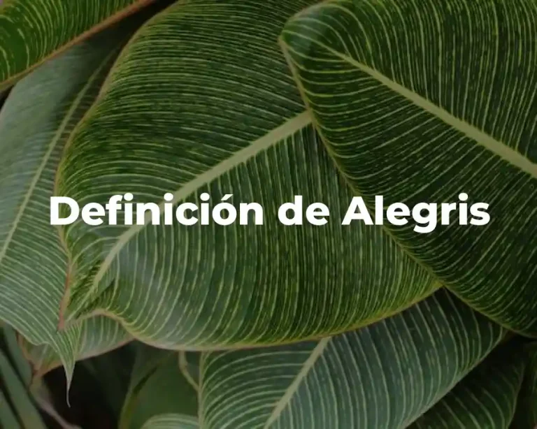 Definición de Alegris
