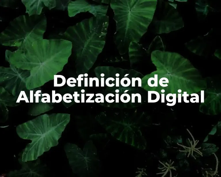 Definición de Alfabetización Digital