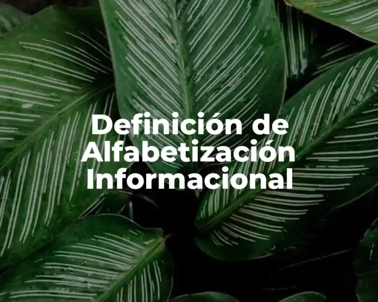 Definición de Alfabetización Informacional