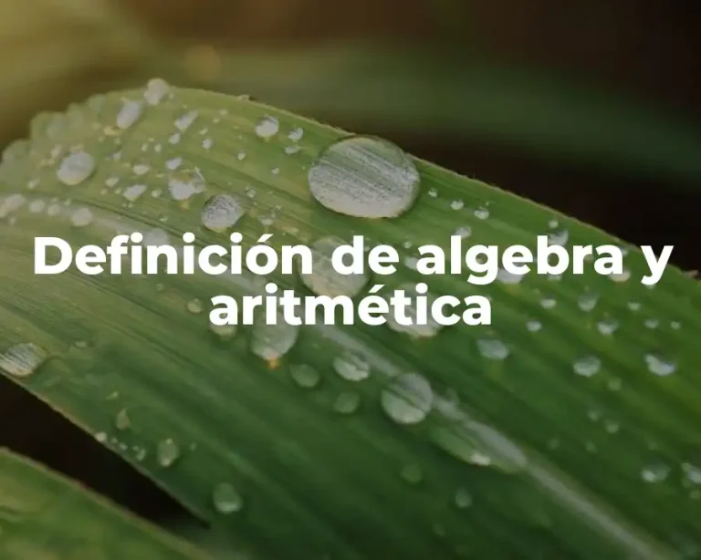 Definición de algebra y aritmética