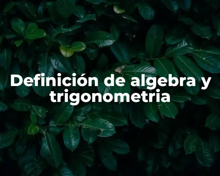 Definición de algebra y trigonometria