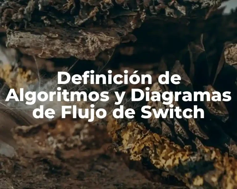 Definición de Algoritmos y Diagramas de Flujo de Switch