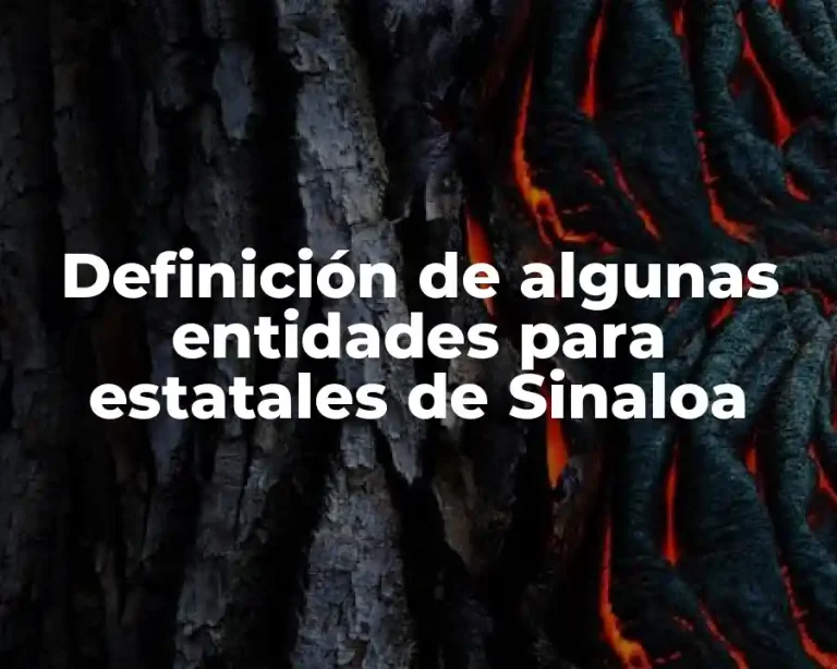 Definición de algunas entidades para estatales de Sinaloa