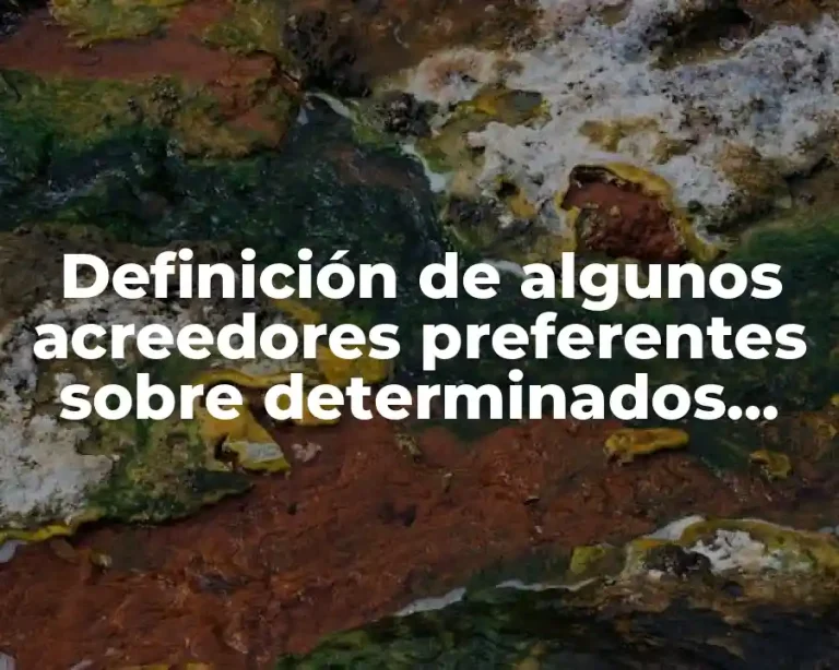 Definición de algunos acreedores preferentes sobre determinados bienes