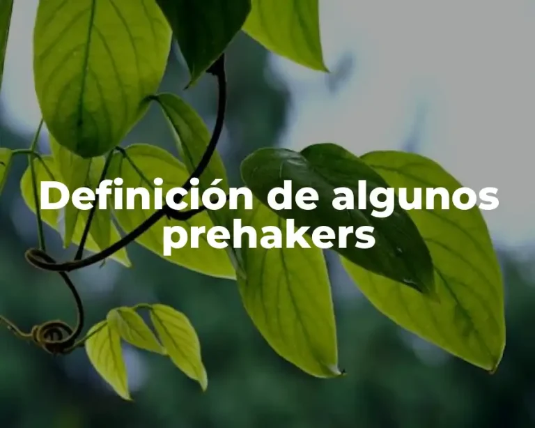 Definición de algunos prehakers