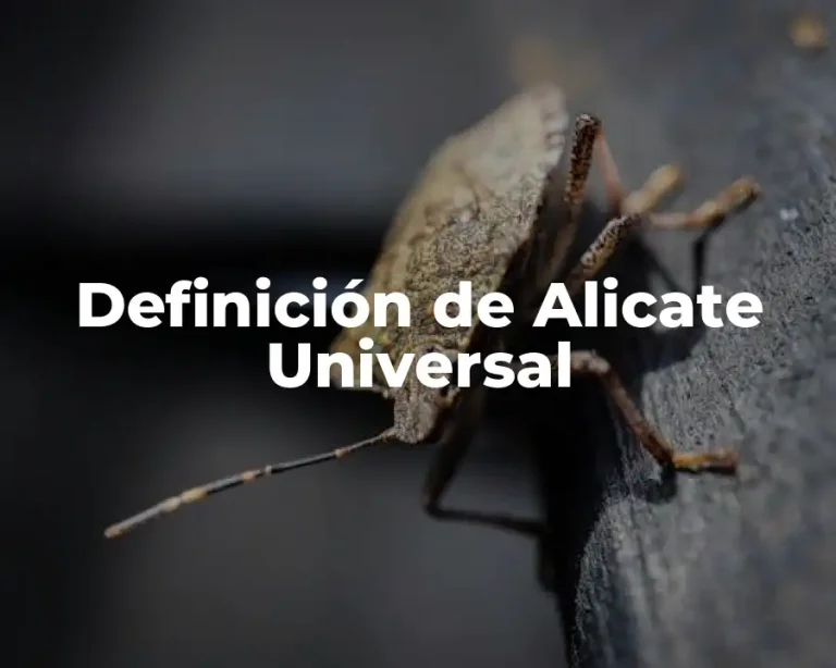 Definición de Alicate Universal
