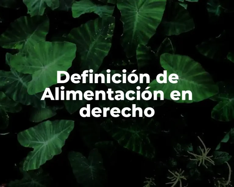 Definición de Alimentación en derecho