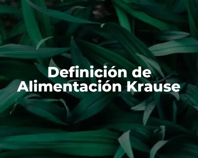Definición de Alimentación Krause