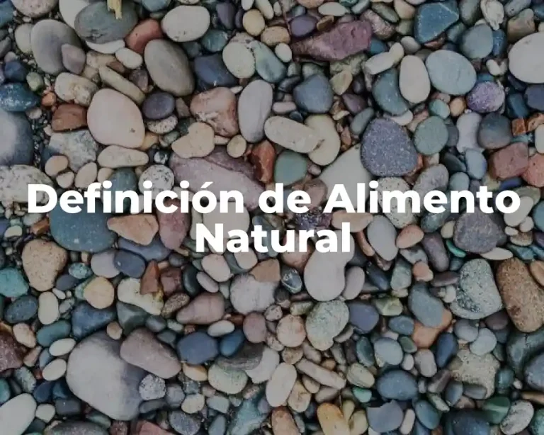 Definición de Alimento Natural