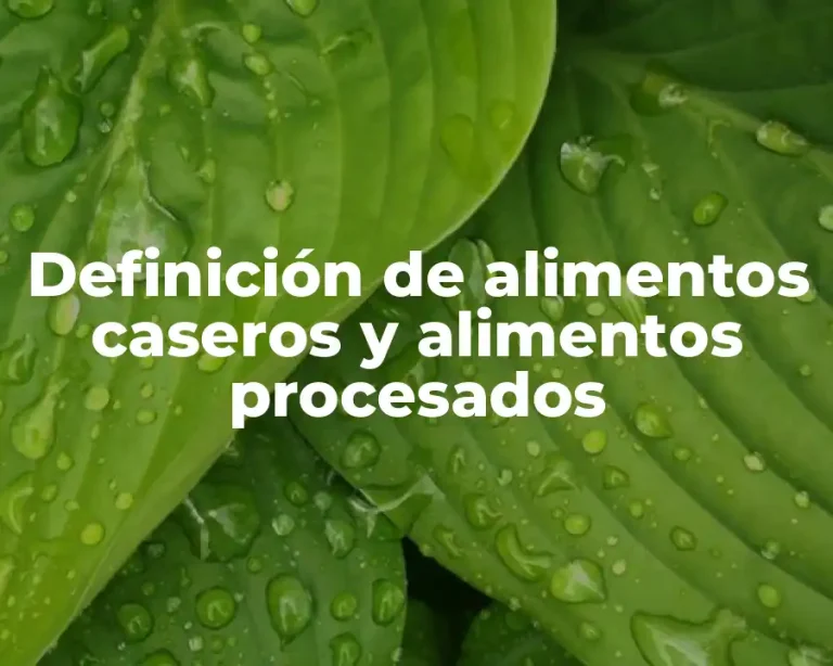 Definición de alimentos caseros y alimentos procesados