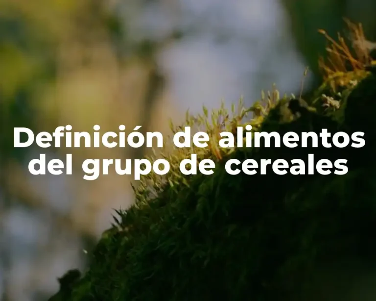 Definición de alimentos del grupo de cereales