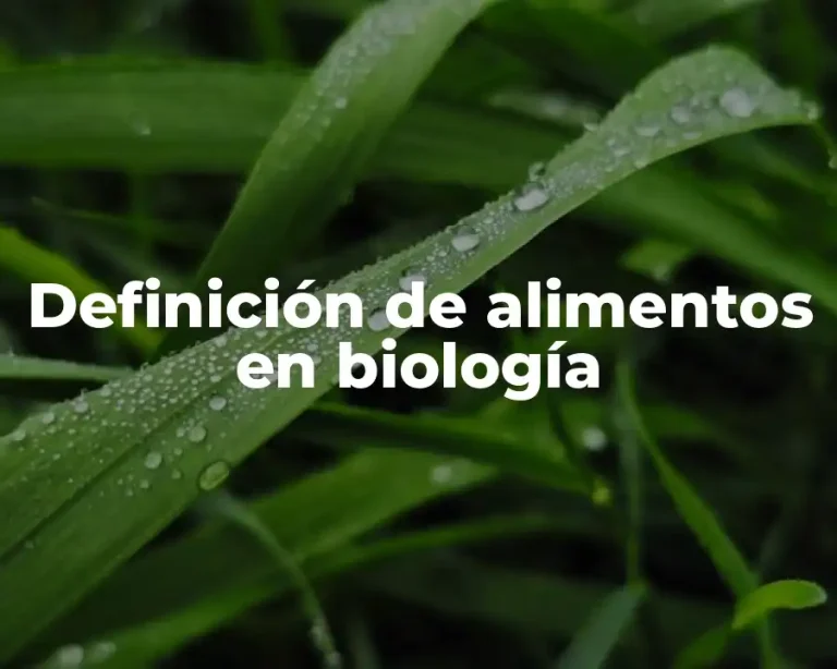 Definición de alimentos en biología