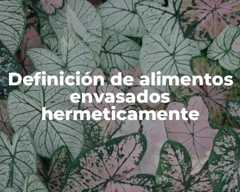 Definición de alimentos envasados hermeticamente