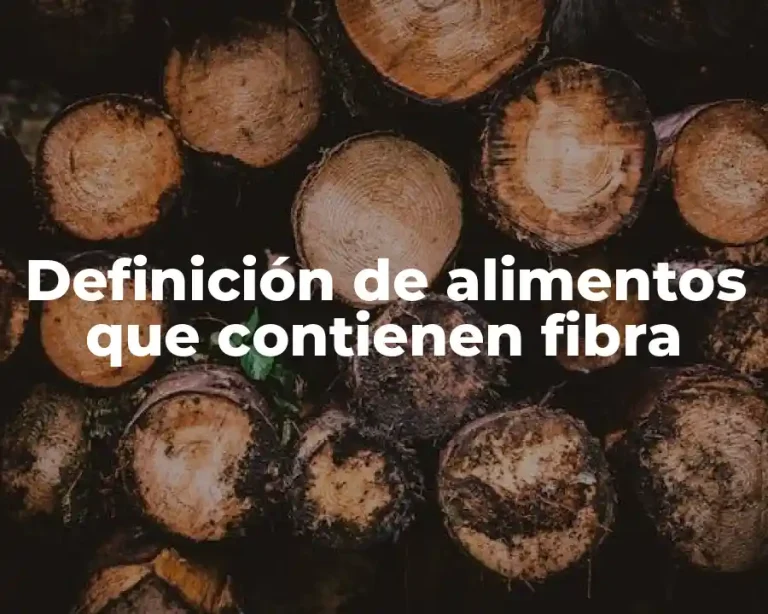 Definición de alimentos que contienen fibra