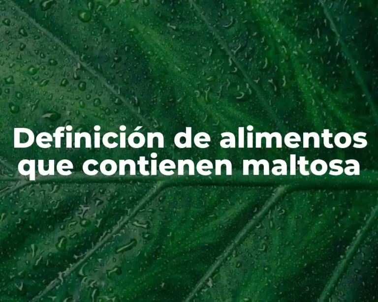 Definición de alimentos que contienen maltosa