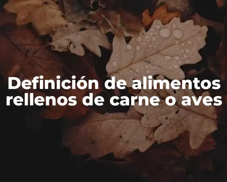 Definición de alimentos rellenos de carne o aves