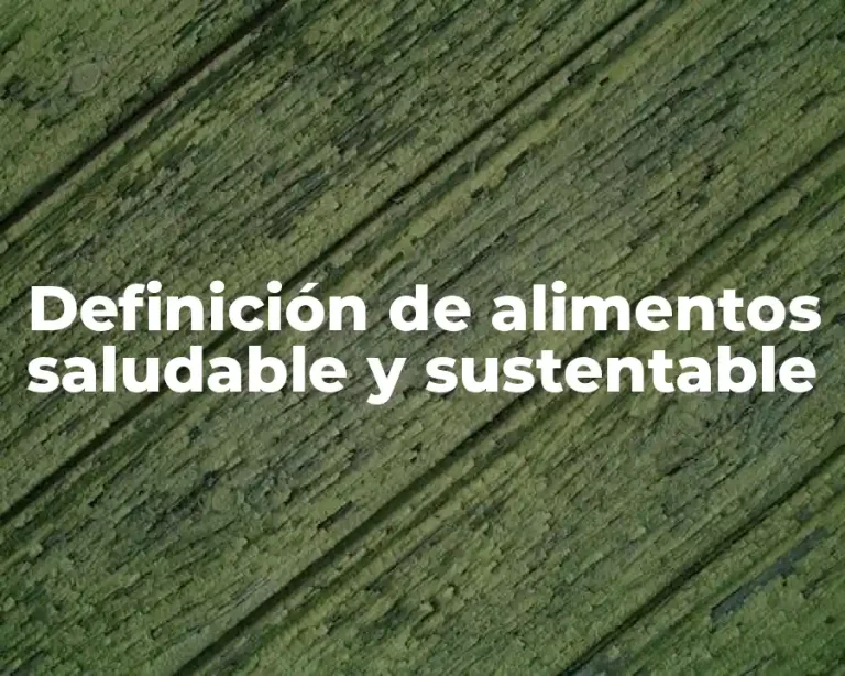 Definición de alimentos saludable y sustentable