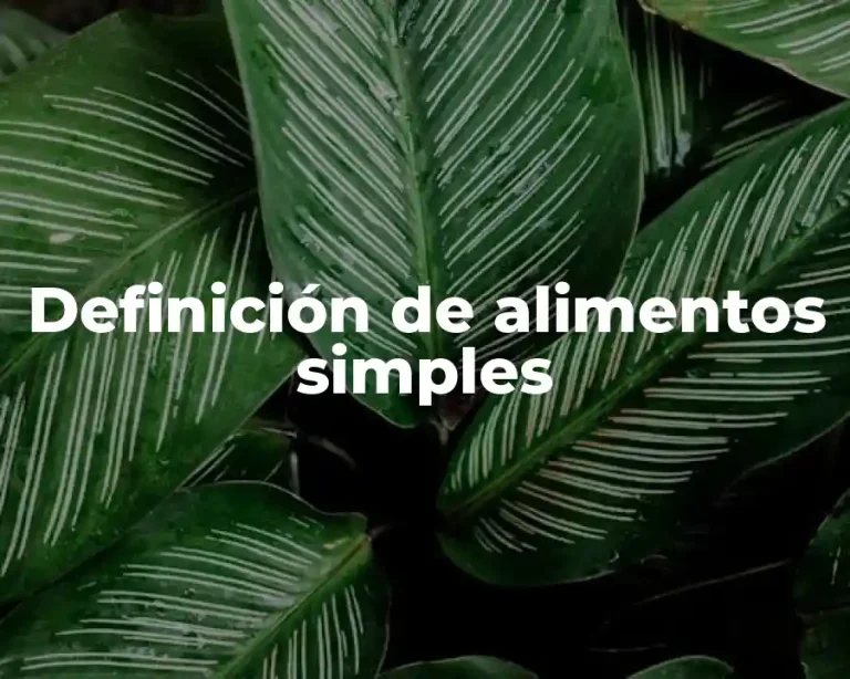 Definición de alimentos simples