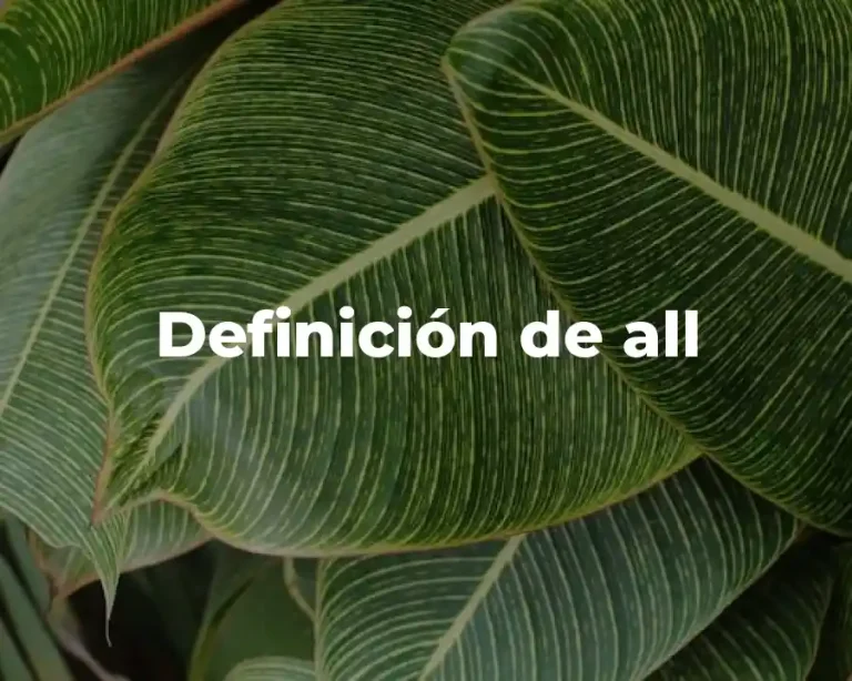 Definición de all