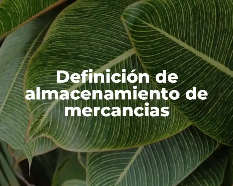 Definición de almacenamiento de mercancias