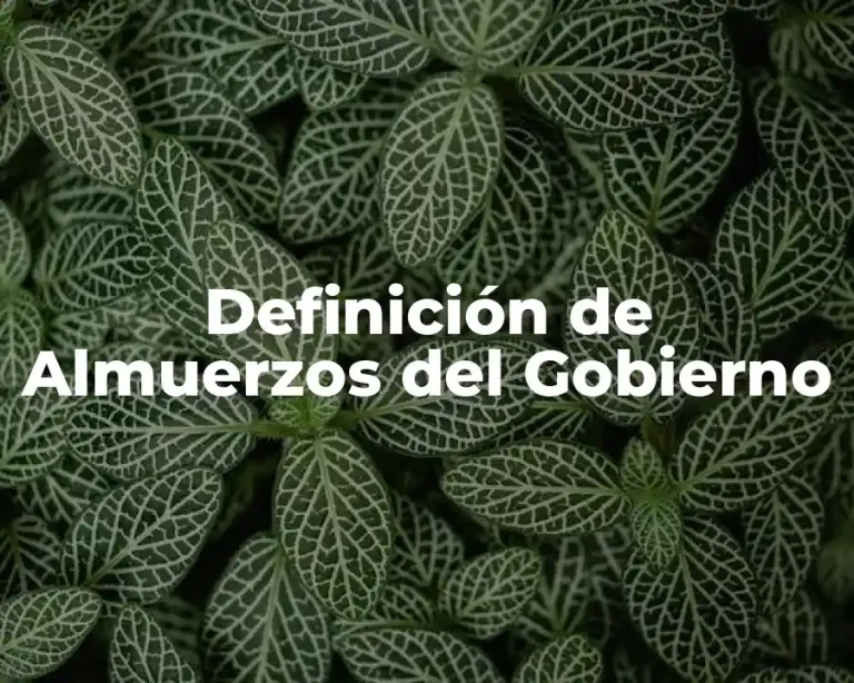 Definición de Almuerzos del Gobierno