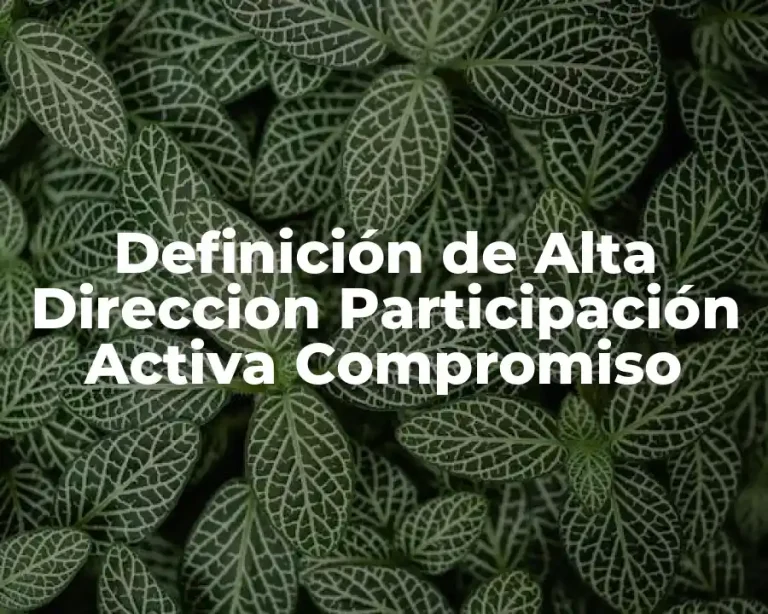 Definición de Alta Direccion Participación Activa Compromiso