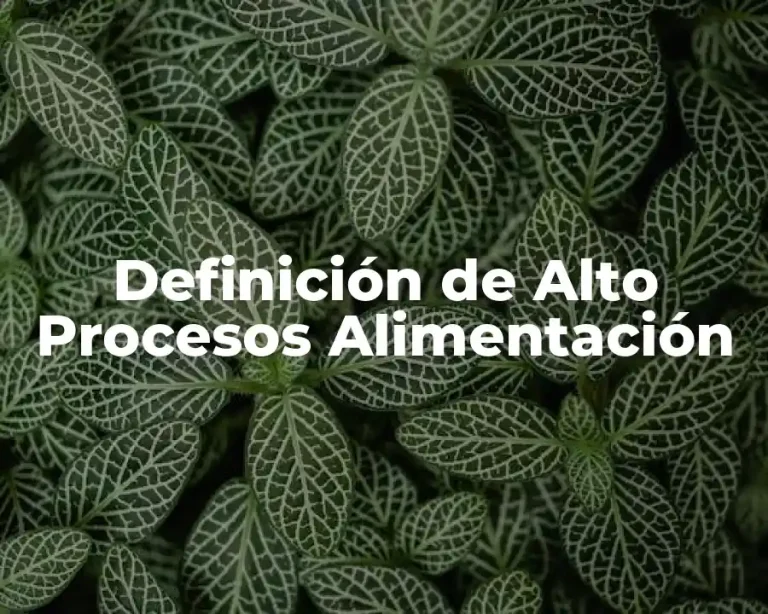 Definición de Alto Procesos Alimentación