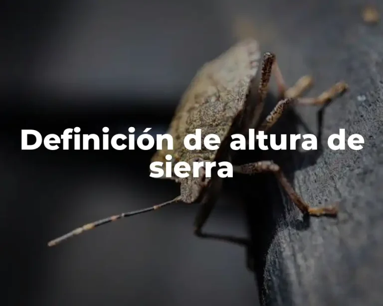 Definición de altura de sierra