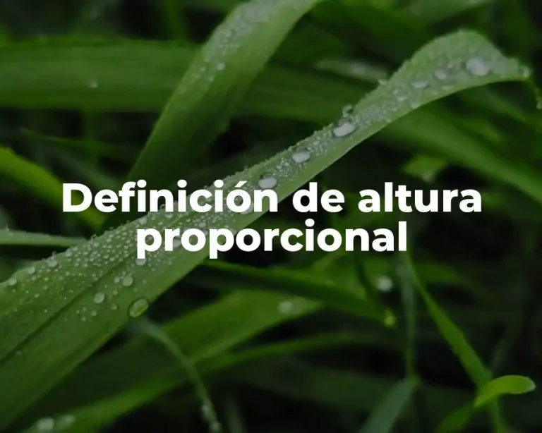Definición de altura proporcional