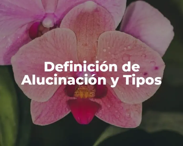 Definición de Alucinación y Tipos