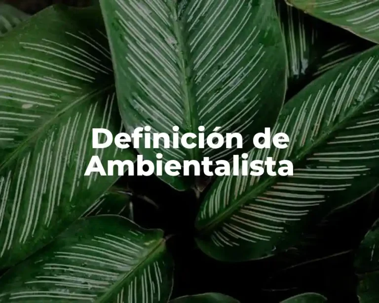 Definición de Ambientalista