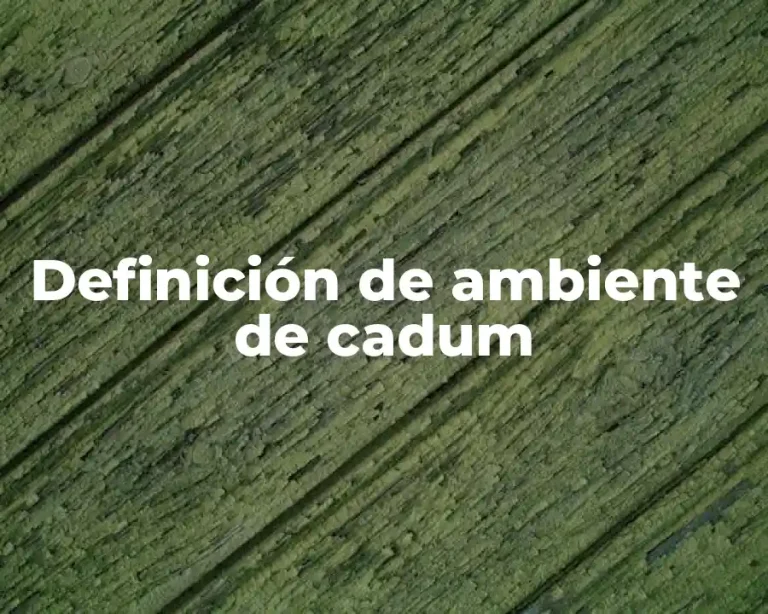 Definición de ambiente de cadum