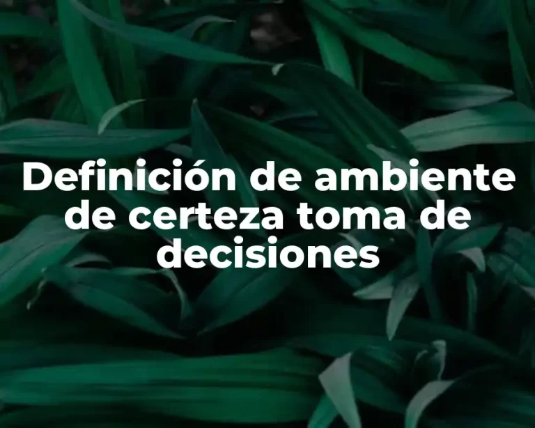 Definición de ambiente de certeza toma de decisiones