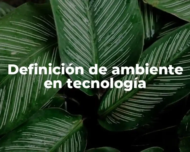 Definición de ambiente en tecnología