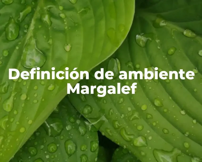 Definición de ambiente Margalef