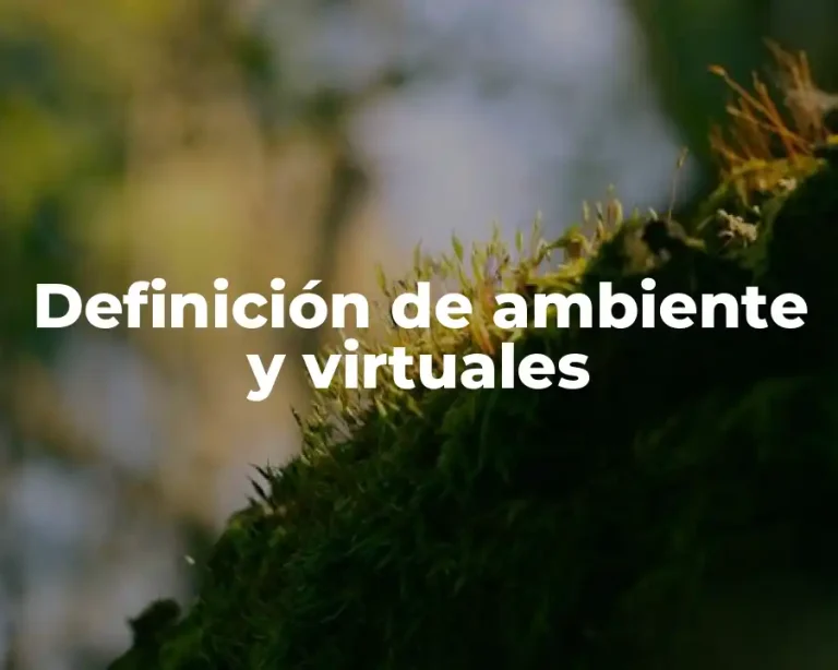 Definición de ambiente y virtuales