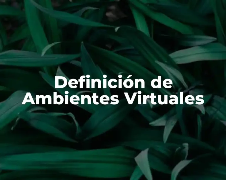 Definición de Ambientes Virtuales