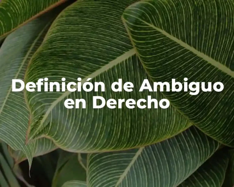 Definición de Ambiguo en Derecho