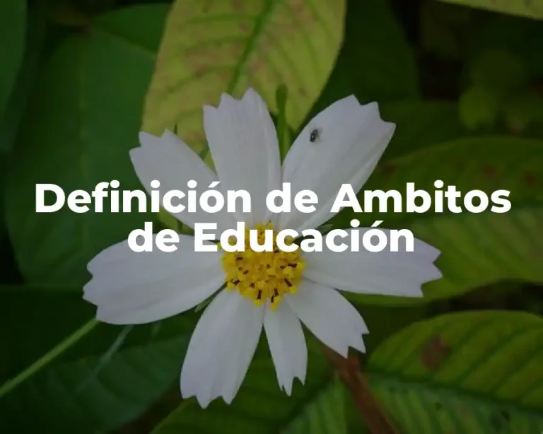 Definición de Ambitos de Educación
