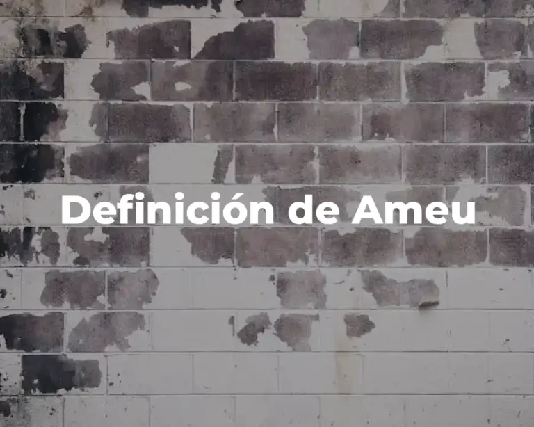 Definición de Ameu