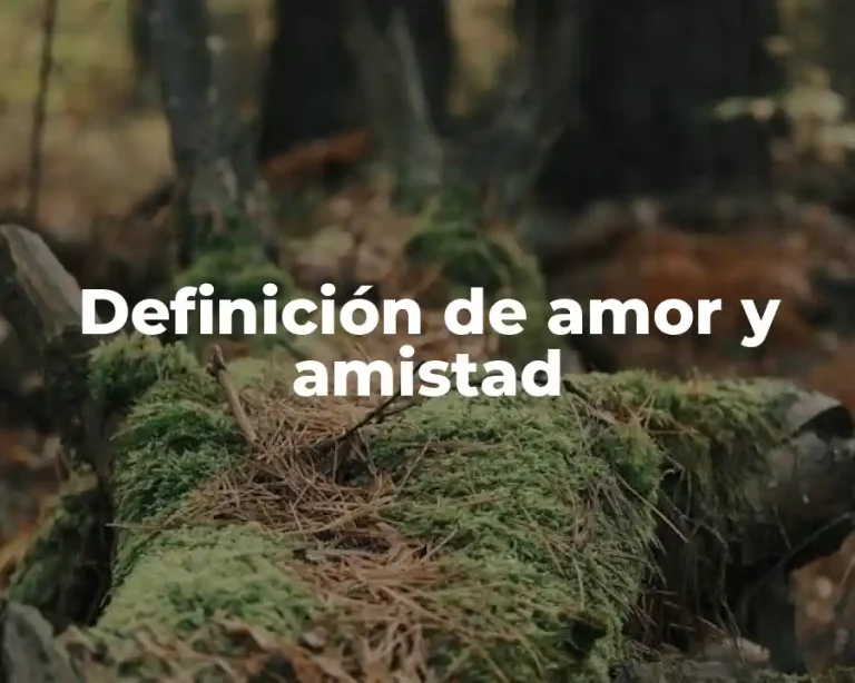 Definición de amor y amistad