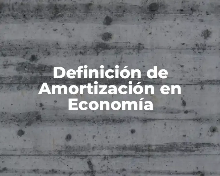 Definición de Amortización en Economía