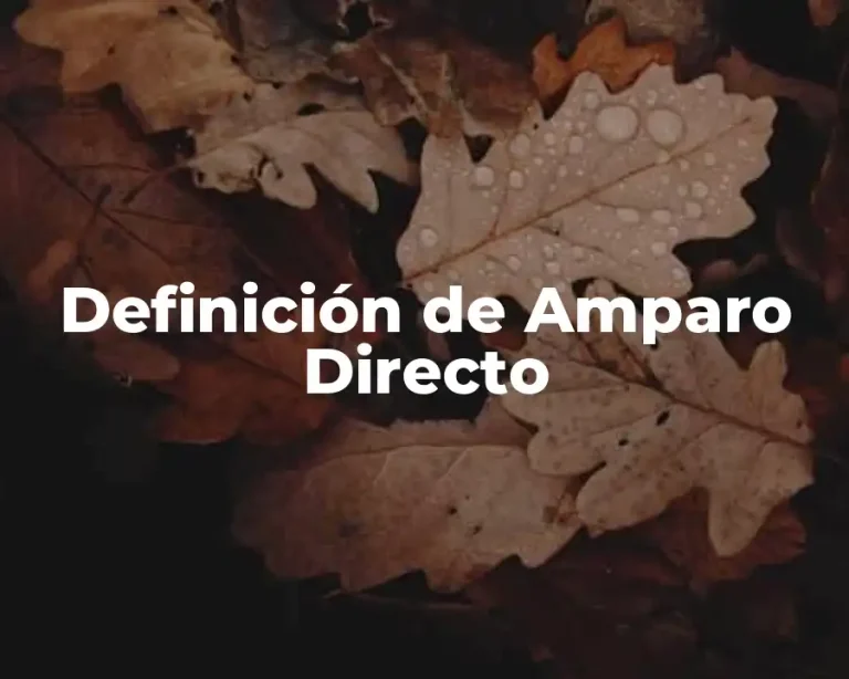 Definición de Amparo Directo