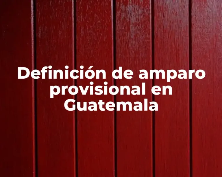 Definición de amparo provisional en Guatemala