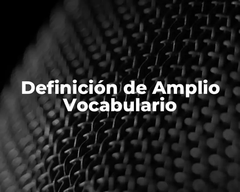 Definición de Amplio Vocabulario