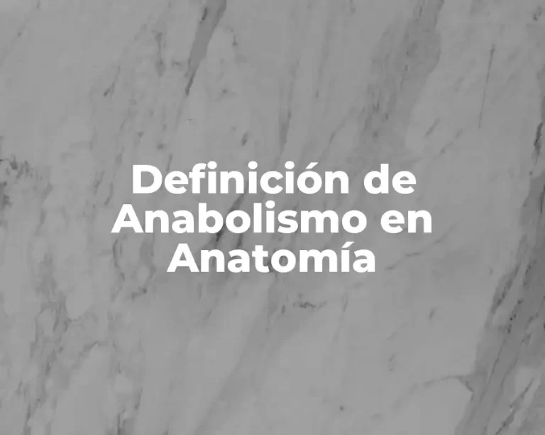 Definición de Anabolismo en Anatomía