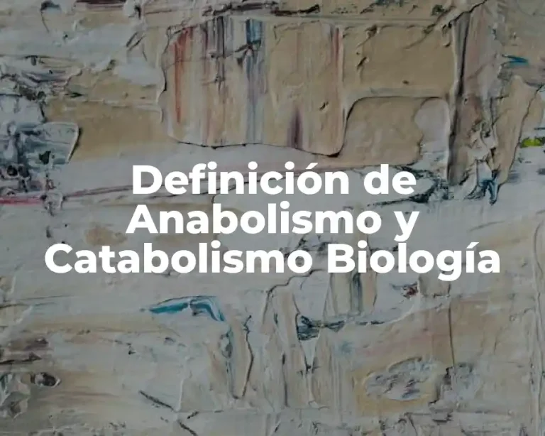 Definición de Anabolismo y Catabolismo Biología