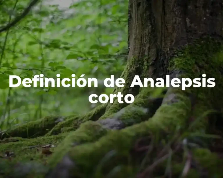 Definición de Analepsis corto